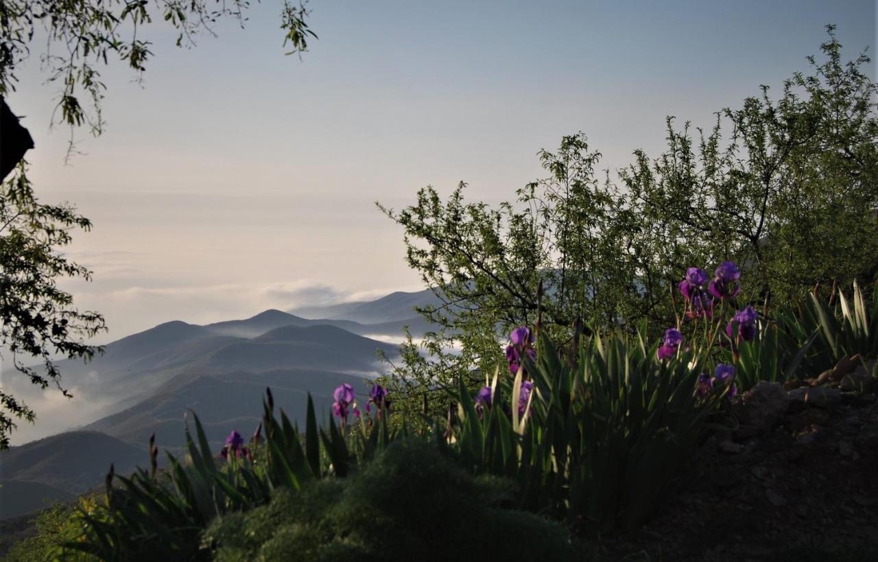 Cortijo Los Maximos Turon Экстерьер фото