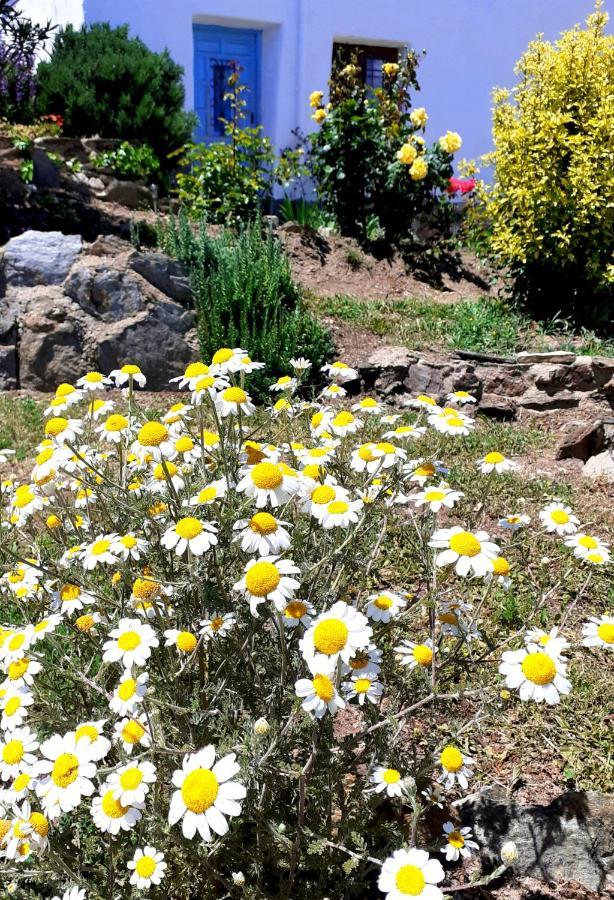 Cortijo Los Maximos Turon Экстерьер фото