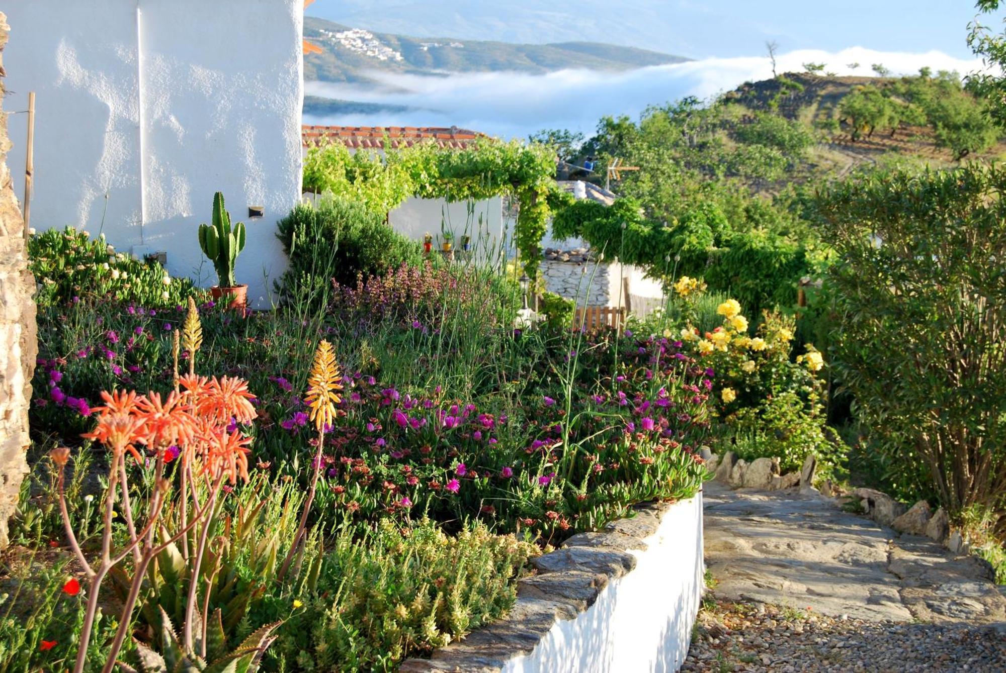 Cortijo Los Maximos Turon Экстерьер фото