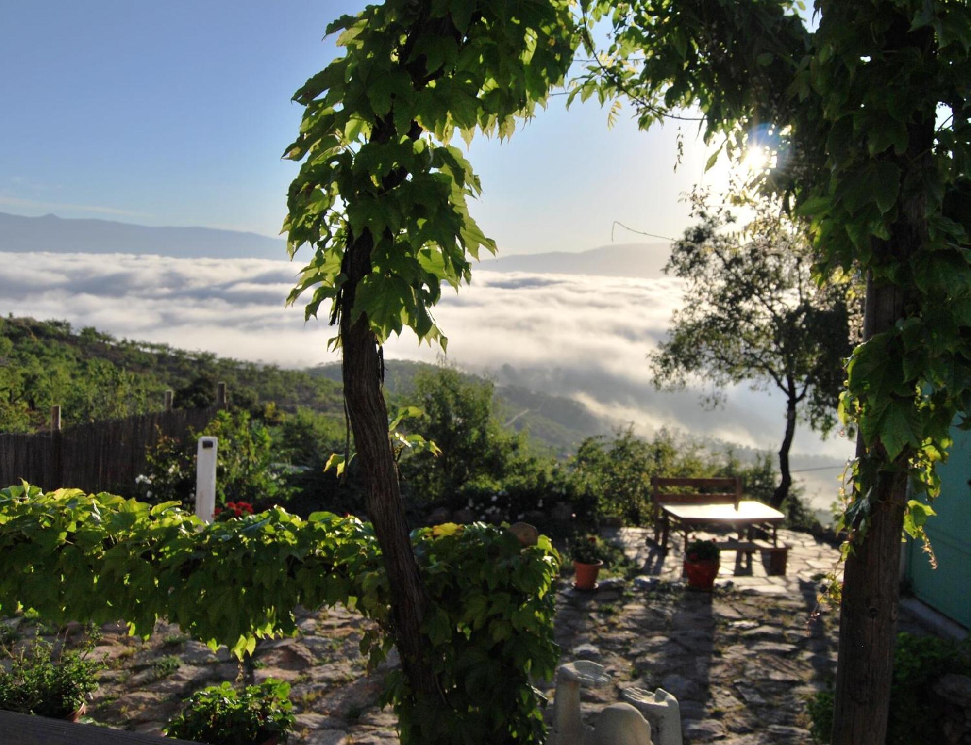 Cortijo Los Maximos Turon Экстерьер фото