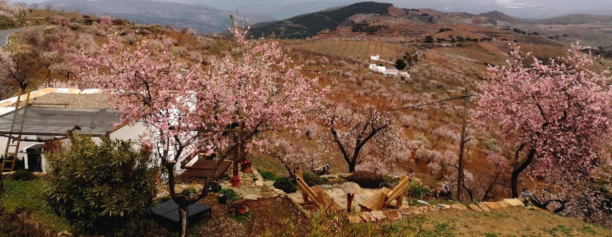 Cortijo Los Maximos Turon Экстерьер фото