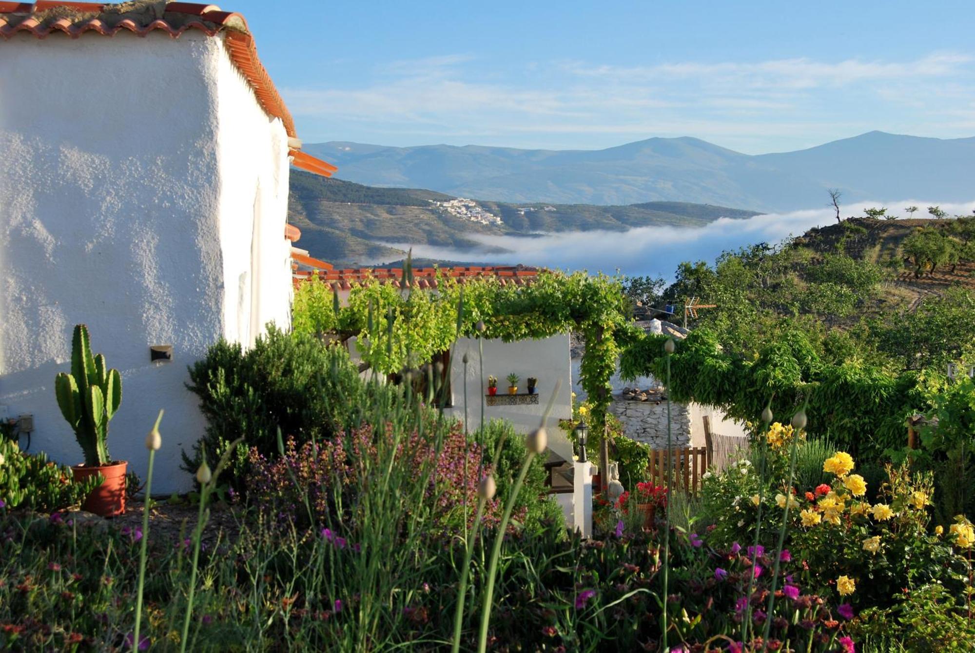 Cortijo Los Maximos Turon Экстерьер фото