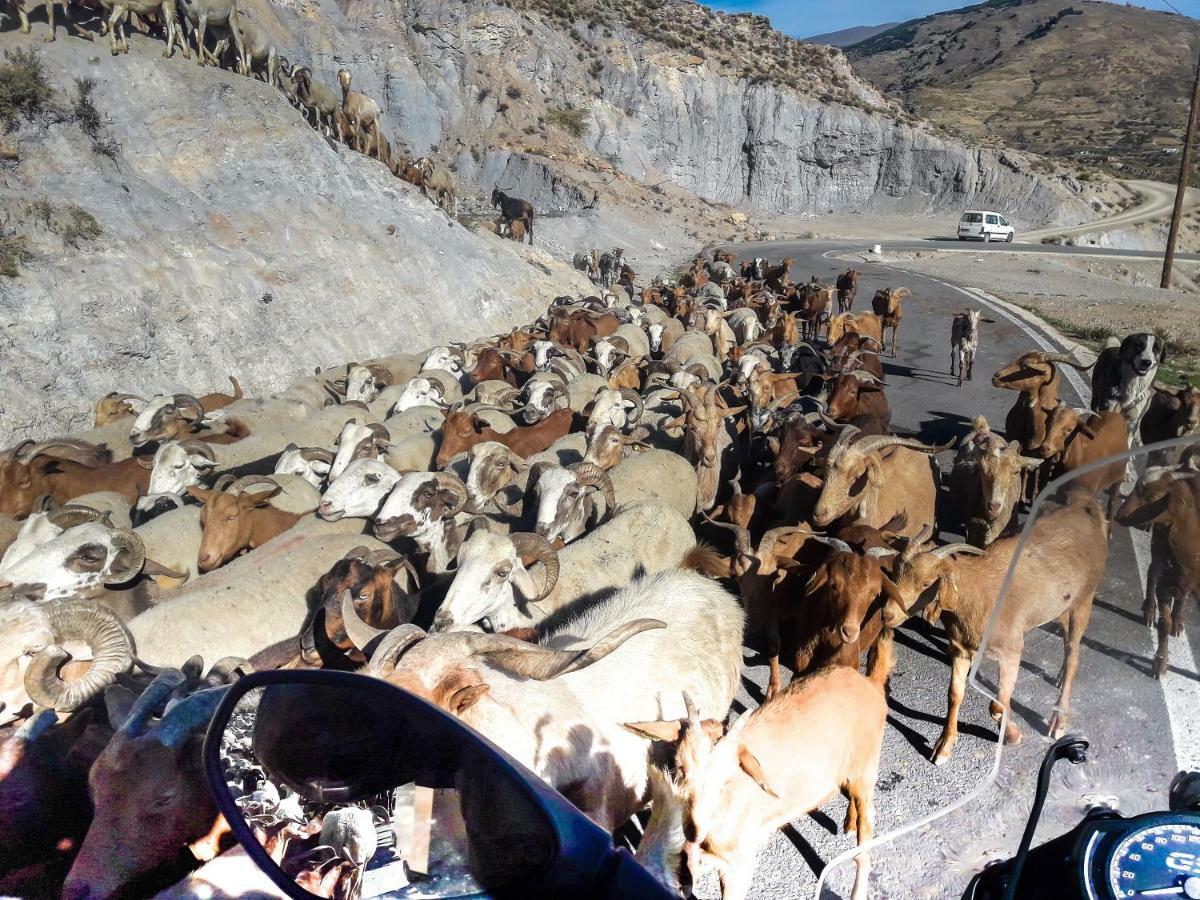 Cortijo Los Maximos Turon Экстерьер фото